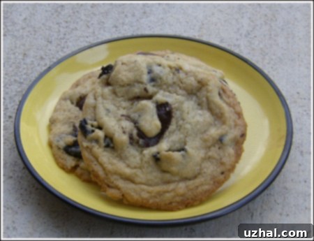 oreo chunk cookie for blog.jpg - a golden-brown chocolate chip cookie with visible pieces of crushed Oreo baked into its surface.