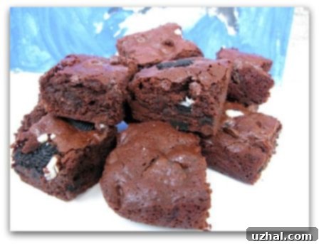 Oreo Brownies - a pan of rich, dark chocolate brownies with whole Oreo cookies visibly baked into the top surface.