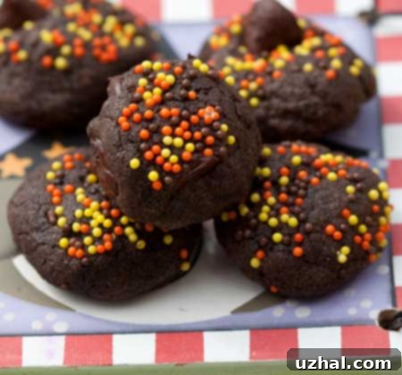 Mini Chocolate Nutella Cookies – a delicious and easy recipe