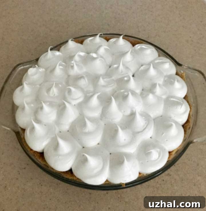 Close-up of Toasted Marshmallow Topping on S'mores Pie