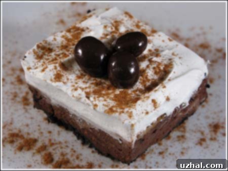 Two-Layer Mocha Cheesecake Duo 2 Decadent Mini Chocolate Mocha Cheesecake with Whipped Cream and Coffee Beans