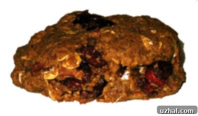 breakfast cookies