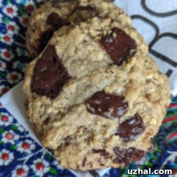 Breakfast Cookies