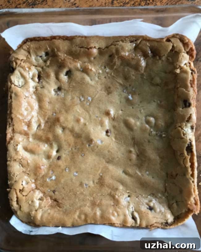 Close-up of freshly baked Betty Crocker Praline Bars, showcasing their golden-brown, chewy texture