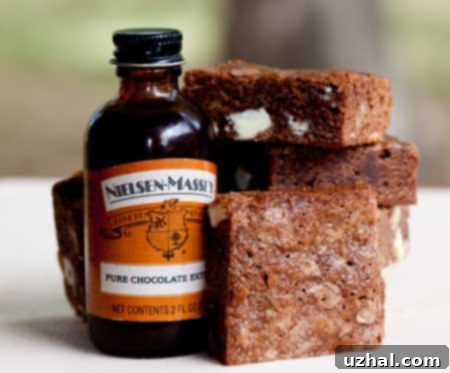 Chocolate Extract
