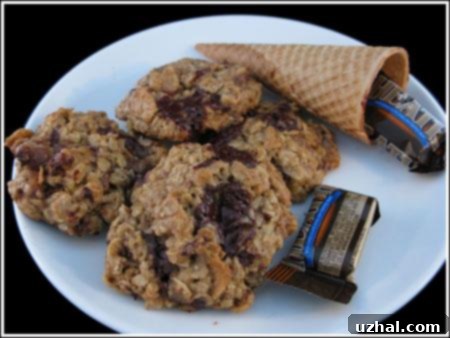coffee toffee chocolate chip oatmeal cookies with sugar cones