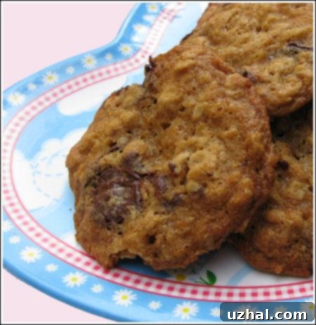 Hillary Clinton's Cookies - Delicious Oatmeal Chocolate Chip Cookies