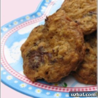 clinton's cookies - a classic oatmeal chocolate chip cookie