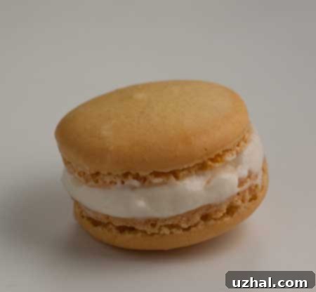 A vibrant macaron cookie, ready for filling, showcasing its smooth top and perfect 'feet'.
