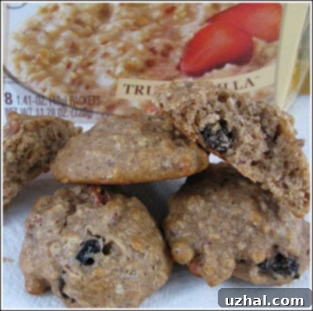 Warm Kashi Morning Cookies 2 kashi hot cereal cookies