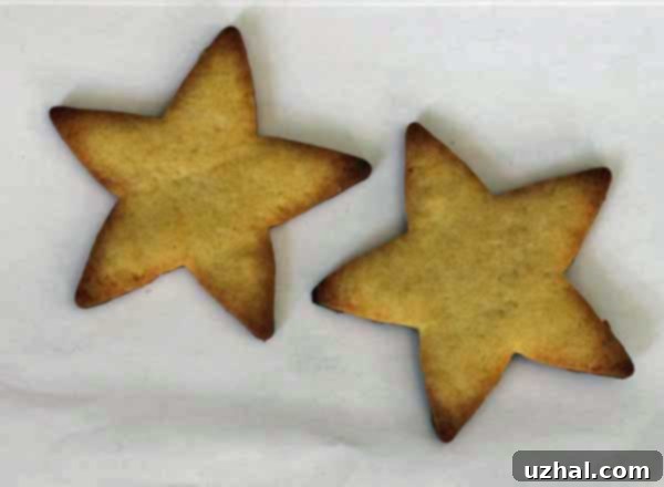 Rochester Gas & Electric Sugar Cookie Cut-Out Recipe made with shortening