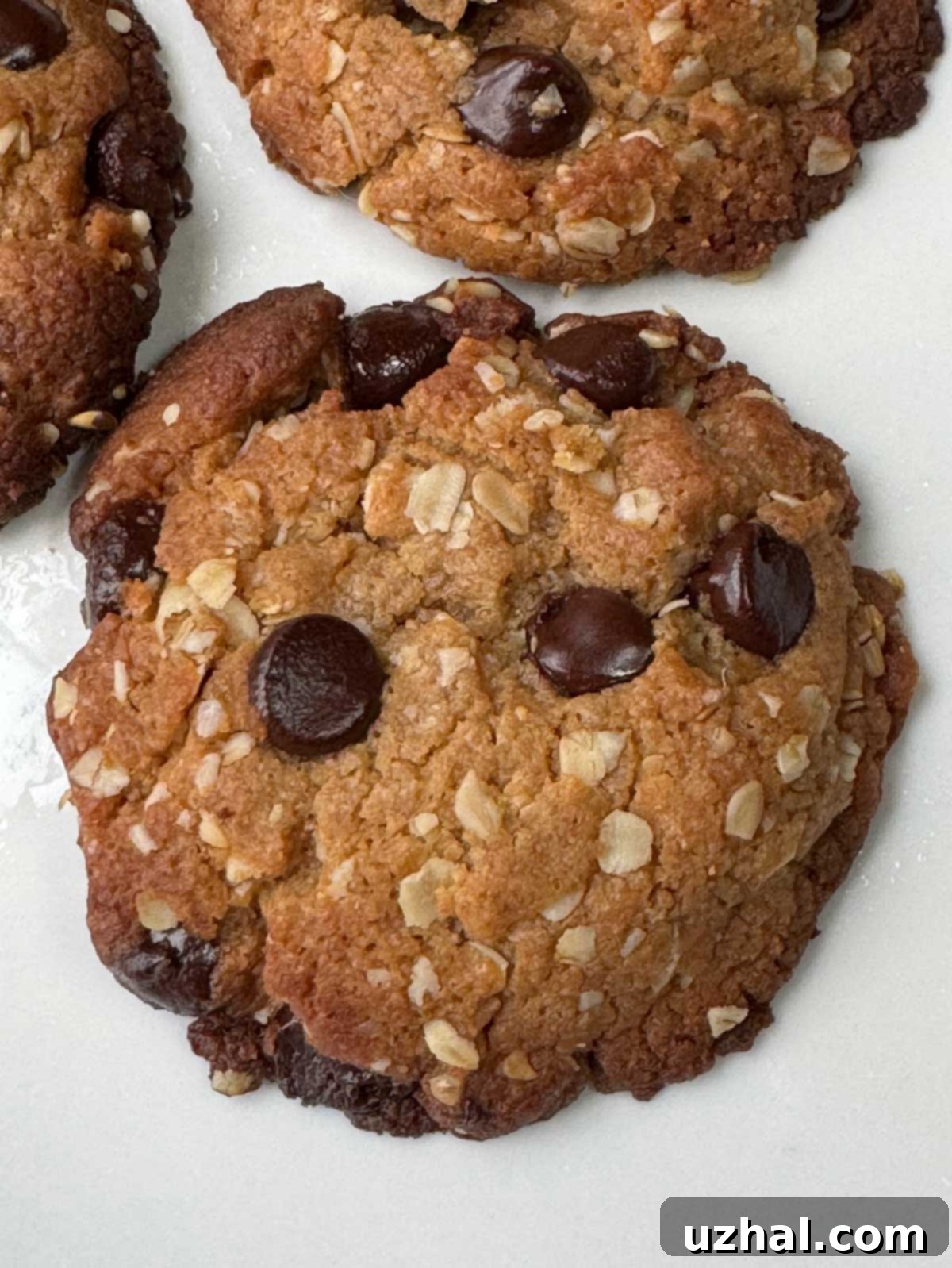Freshly baked oatmeal peanut butter cookies with a golden-brown finish, suggesting a healthy and easy-to-make dessert.
