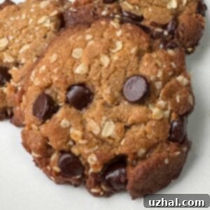 Bonnie's Peanut Butter Oatmeal Cookies shown with chocolate chips.