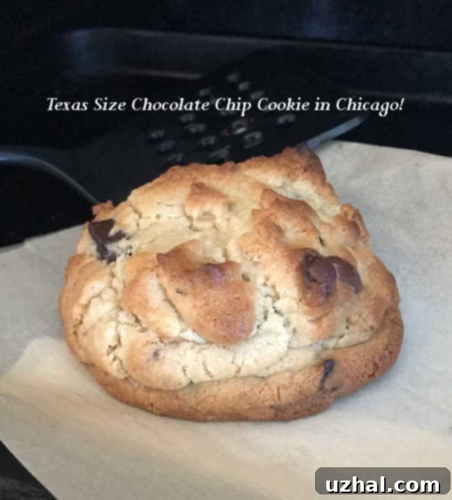Big Fat Cookies