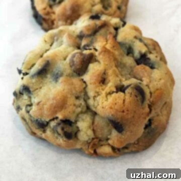 Big Fat Chocolate Chip Cookies