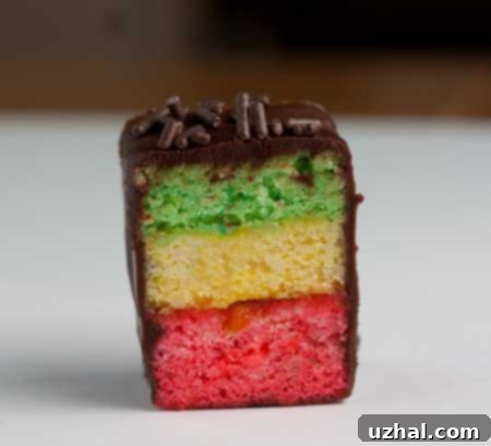 Rainbow Cookie