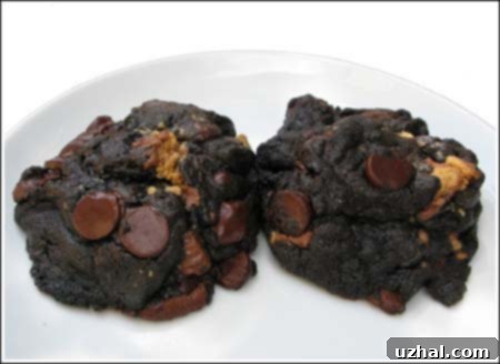 Giant dark chocolate cookies with peanut butter chips, ready to be enjoyed
