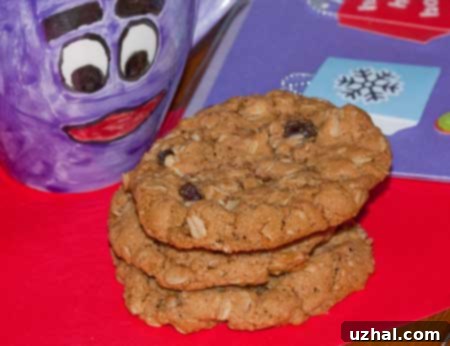 Oatmeal Cookies for Sana