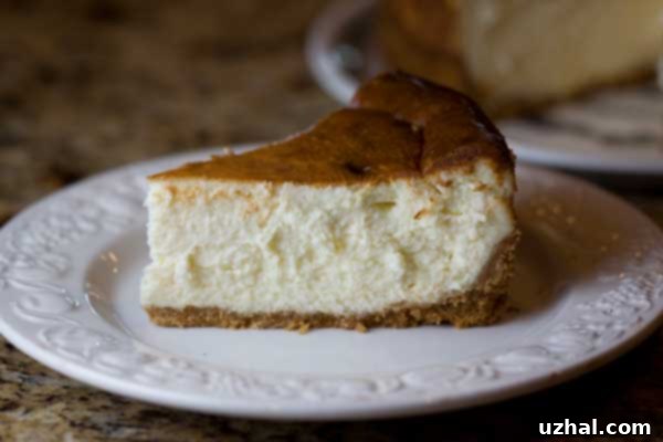 New York Style Cheesecake, beautifully baked with a slight golden hue.