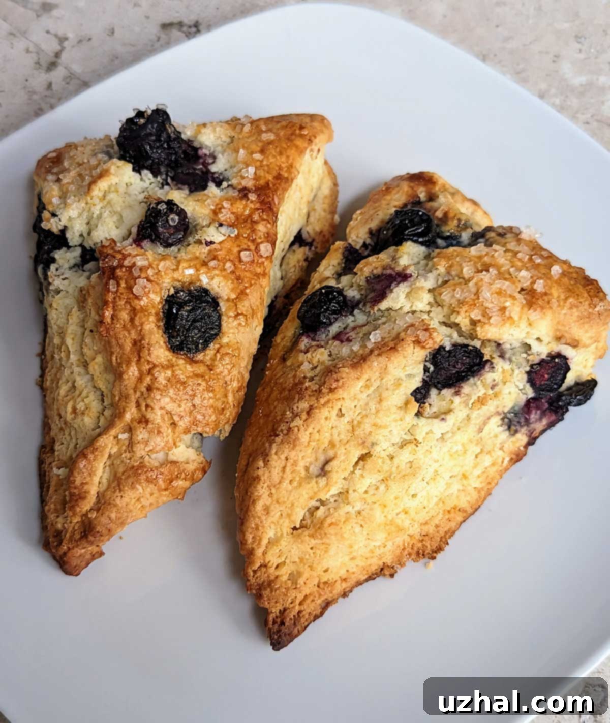 Basic Whipping Cream Scones - Golden brown, fluffy texture, ready for serving.