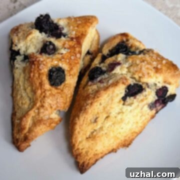 Basic Whipping Cream Scones - Freshly baked, golden brown, served with jam.