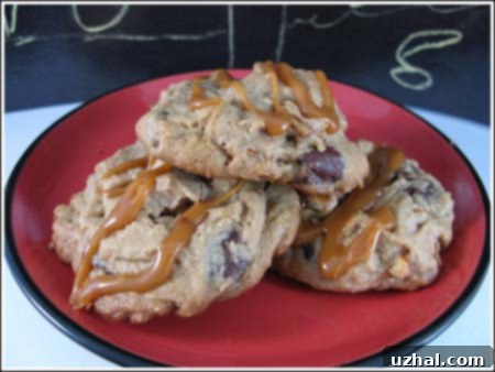 Take 5 Cookies - Delicious Peanut Butter Chocolate Pretzel Cookies with Caramel Drizzle
