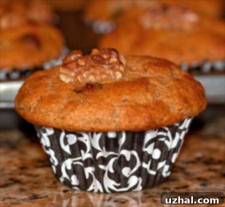 A perfectly baked maple chocolate chip muffin