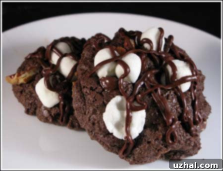 Rocky Road Chocolate Cookies