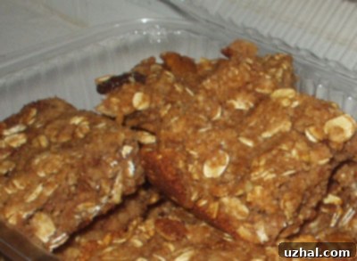 low carb applesauce bars
