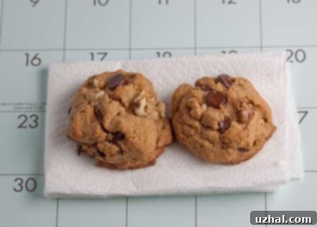 Vegan Chocolate Chip Cookies