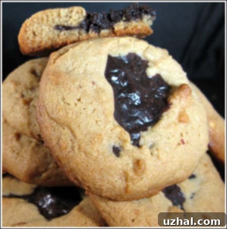 Chocolate Peanut Butter Volcanoes from Rosie's Bakery Cookie Book, showcasing the fudgy center.