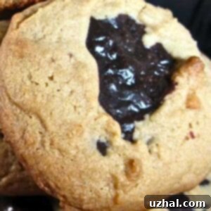 Chocolate Lava Filled Peanut Butter Volcano Cookies recipe