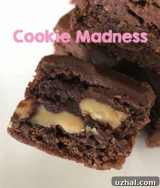 Best Frosted Brownies
