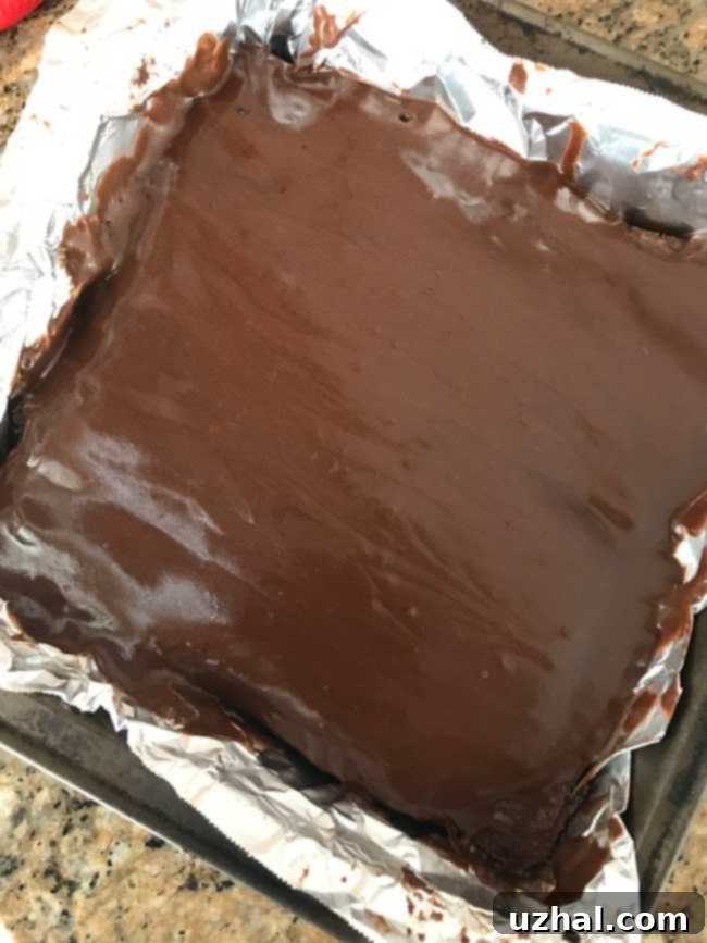 Best Brownies with glossy frosting