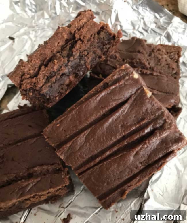 Best Frosted Brownies Texture