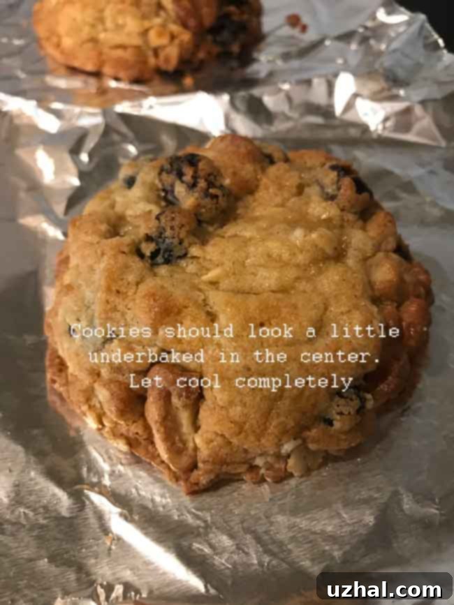 Close-up of a stack of Big Fat Oatmeal Raisin Cookies, showing their thick, chewy centers and golden edges.