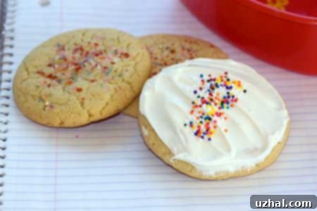 Five Flavor Sugar Cookies - featured image