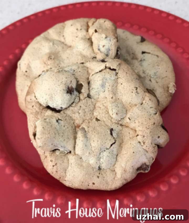 Two golden-brown Travis House Cookies with visible pecans