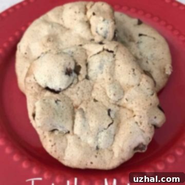 Close-up of a Travis House Cookie showing its crispy edge and pecan pieces