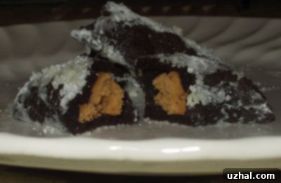 Irresistible Maida Heatter's Chocolate and Peanut Butter Crescents, freshly baked