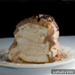 Mocha Mousse Angel Food Cake with Chocolate Whipped Cream