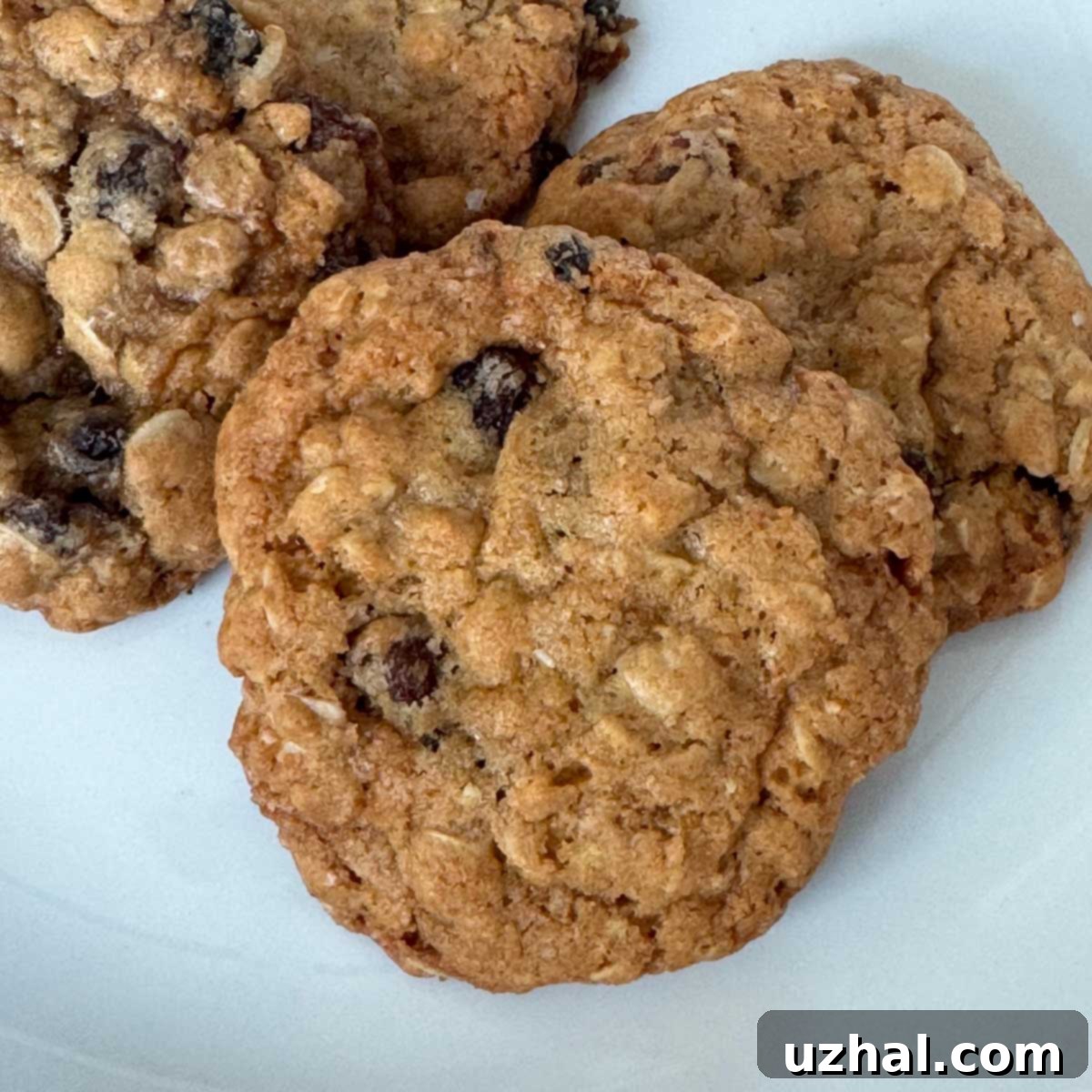 Simply Delicious Oatmeal Raisin Cookies 2 Close-up of perfectly baked soft and chewy oatmeal raisin cookies, showcasing their golden-brown edges and plump raisins.