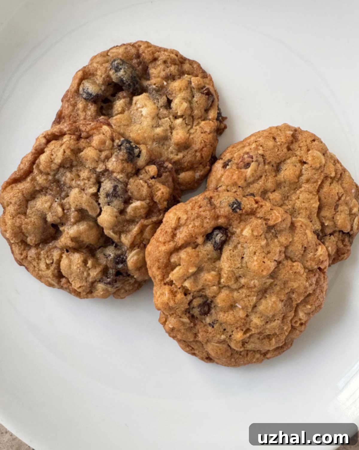 Simply Delicious Oatmeal Raisin Cookies 3 Two plates of oatmeal raisin cookies, illustrating the difference between using dark and light brown sugar.