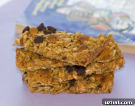Chocolate and Butterscotch Chips Granola Bars