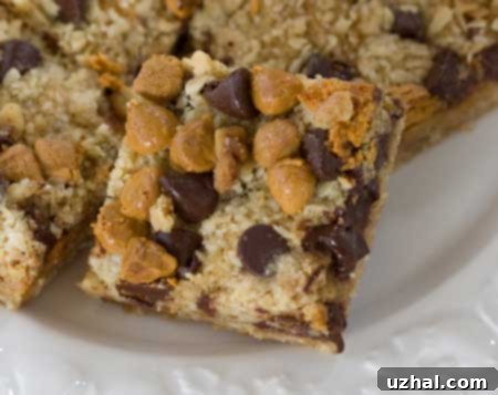 Oat, Chocolate Chip, Butterscotch Bars