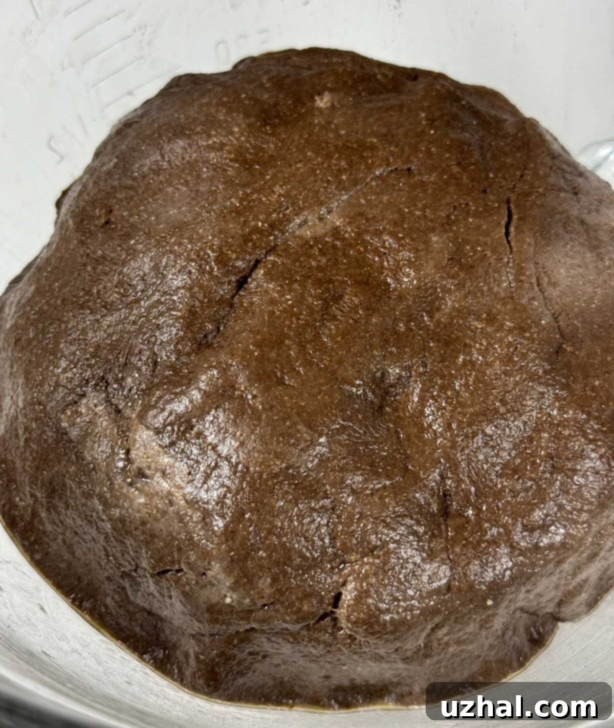 Dark Rye Bread dough made with black cocoa powder and mustard, showing its rich, deep brown color.