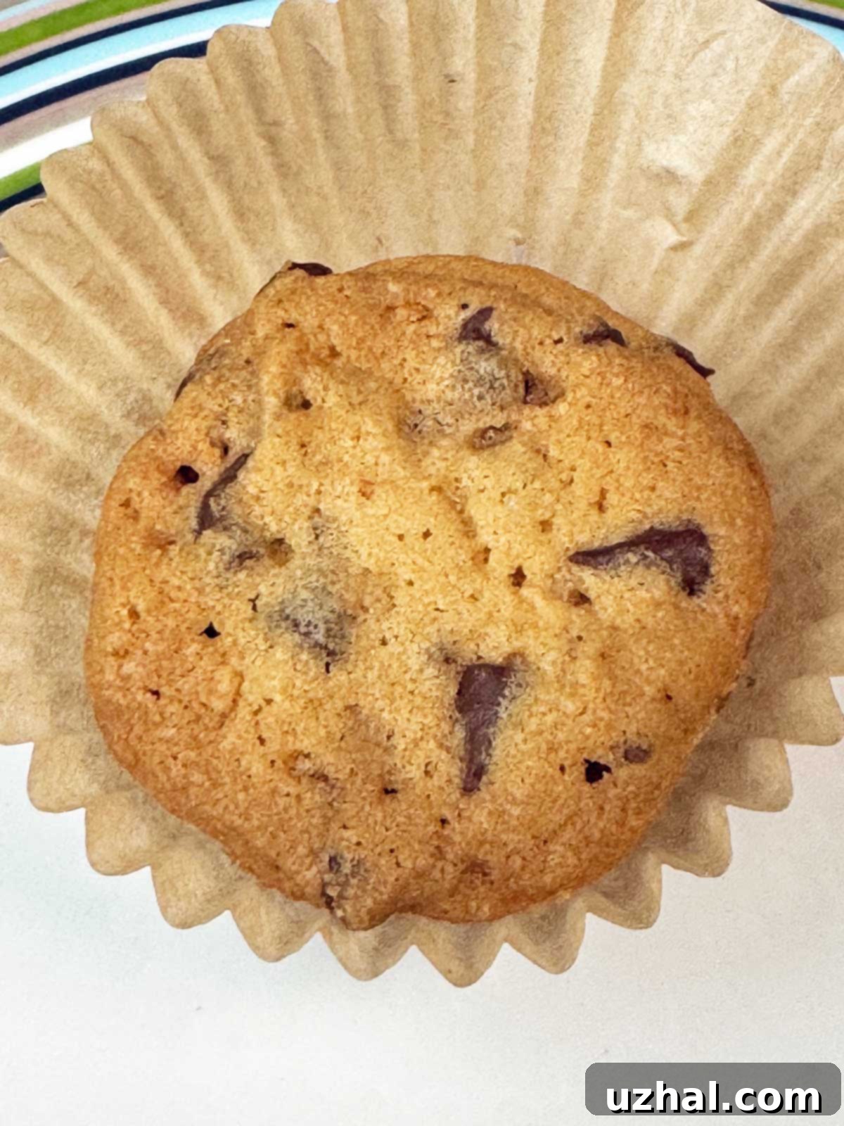 Close-up of crunchy chocolate chip cookies, showing air pockets from baker's ammonia, on a cooling rack.
