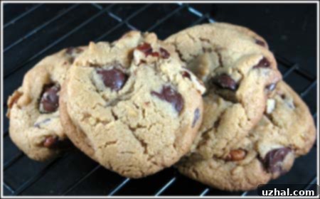 A plate of golden-brown crunchy chocolate chip cookies, freshly baked and ready to eat.