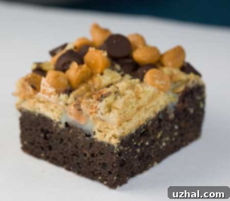 Magic Cookie Bar Brownies, rich and decadent dessert bars