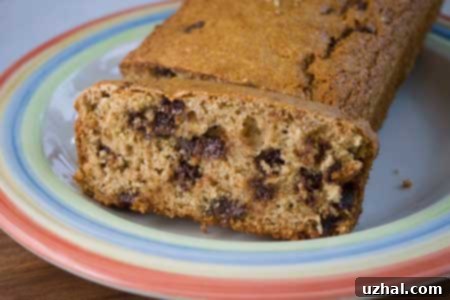 Chocolate Chip Apple Bread